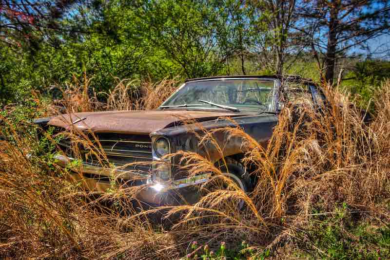 Wayne Stadler - Georgia Grass Fire