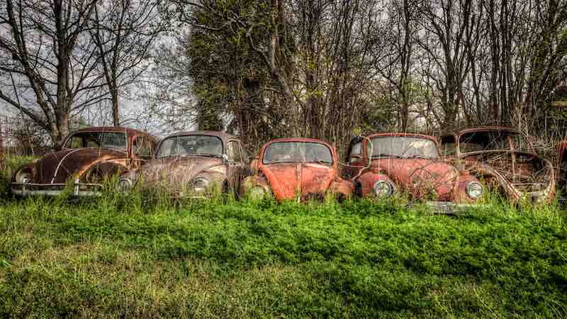 Wayne Stadler - Texas Bugs