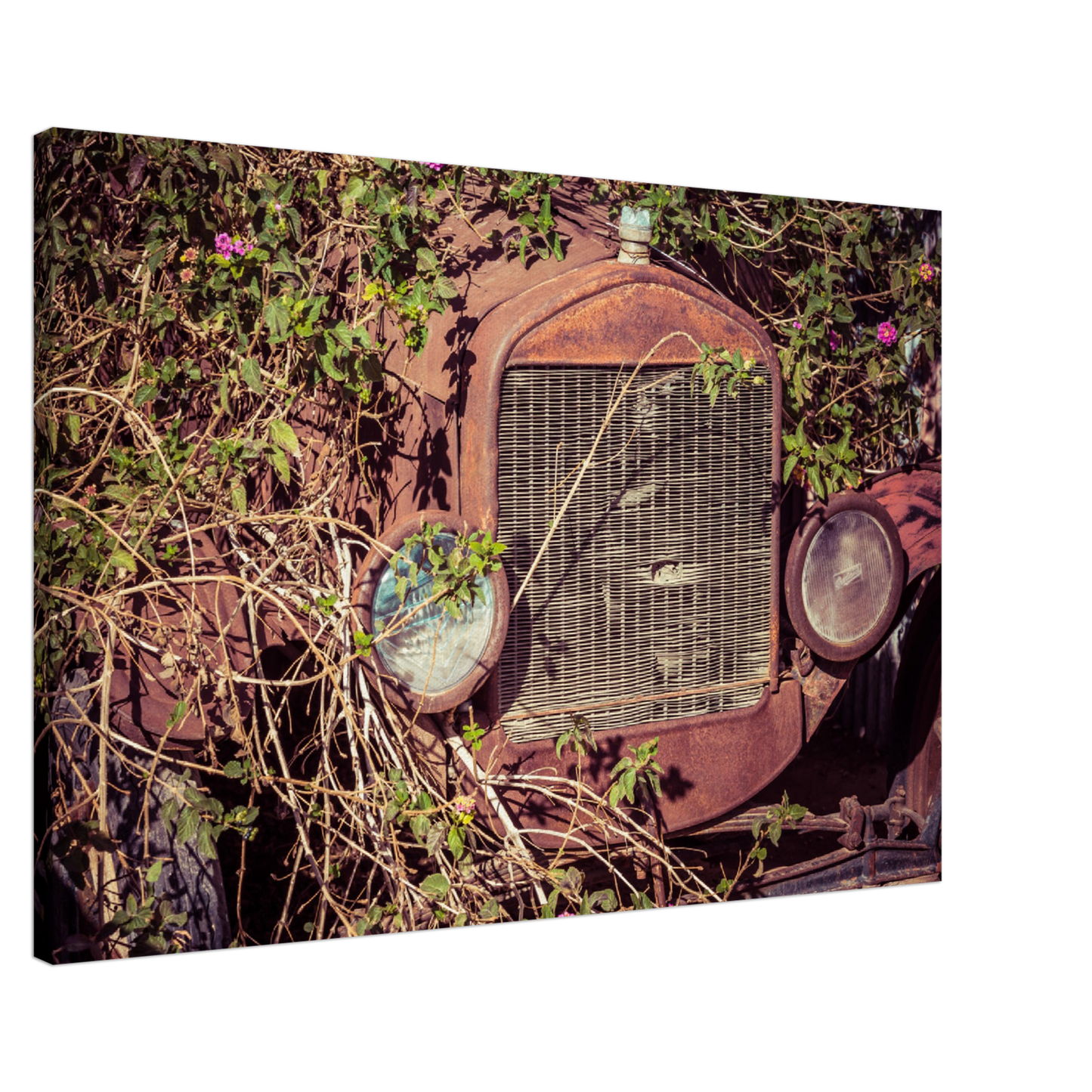 Wayne Stadler - Fatal Songs