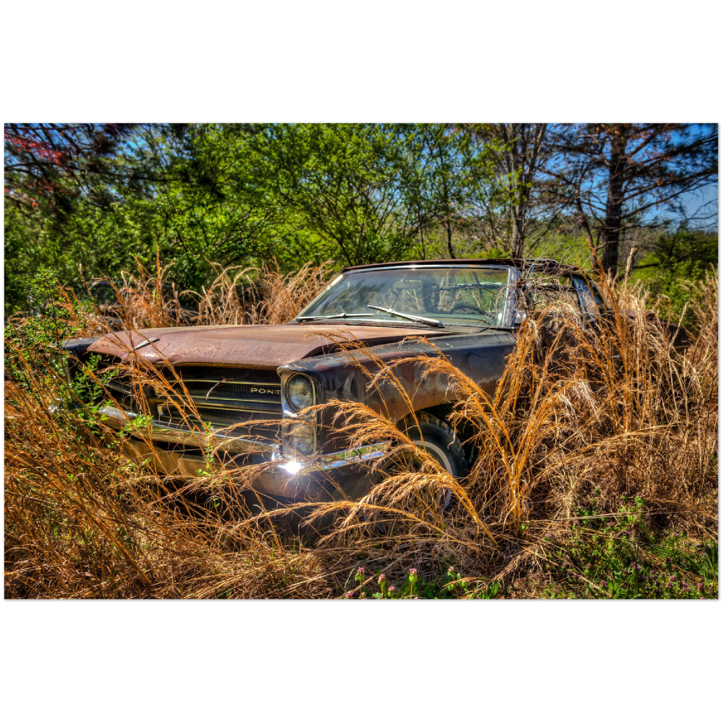 Wayne Stadler - Georgia Grass Fire