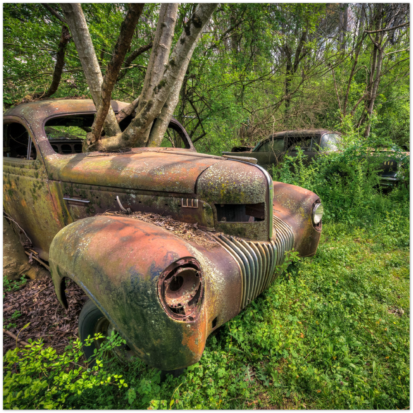 Wayne Stadler - Reachers
