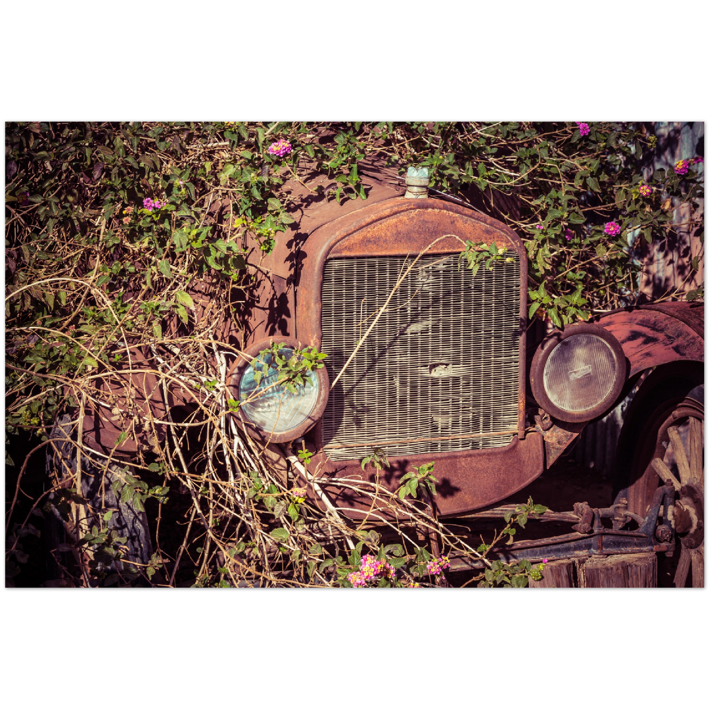 Wayne Stadler - Fatal Songs