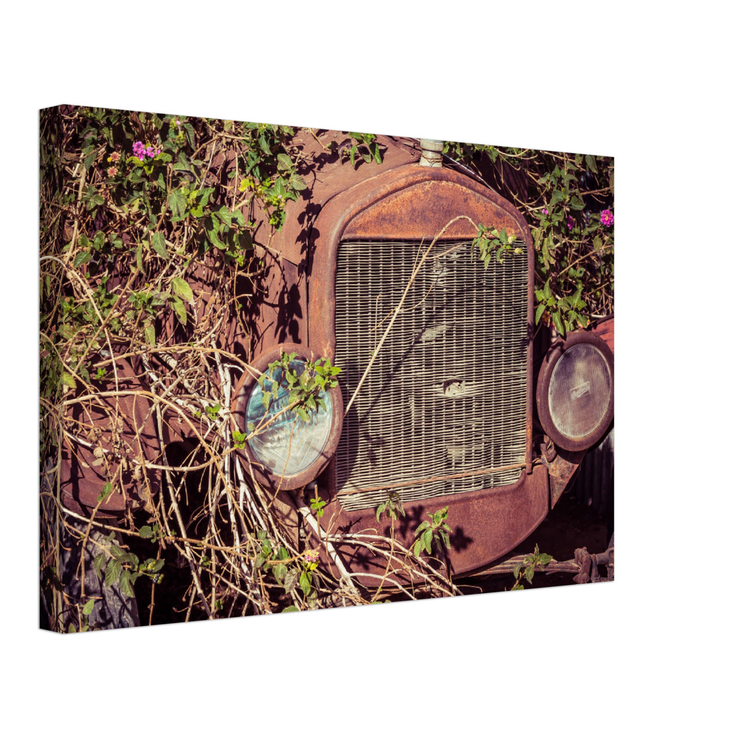 Wayne Stadler - Fatal Songs