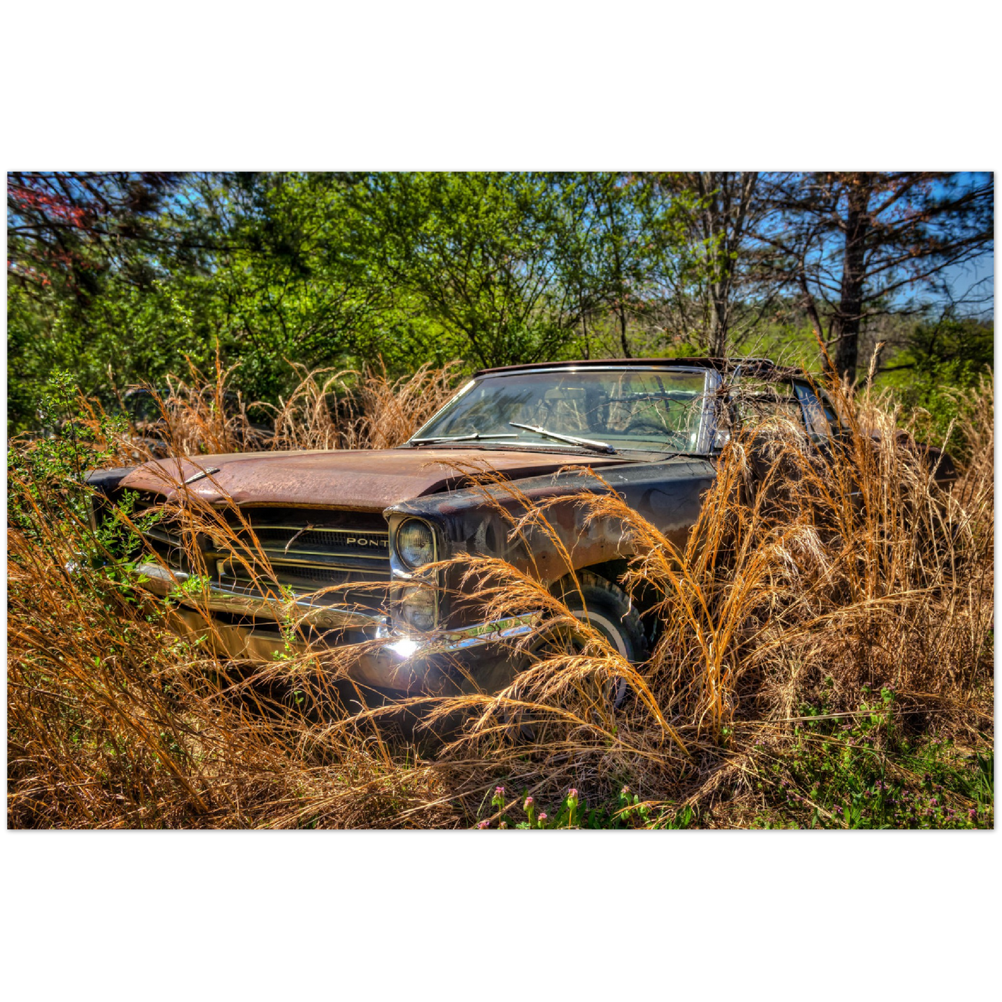 Wayne Stadler - Georgia Grass Fire