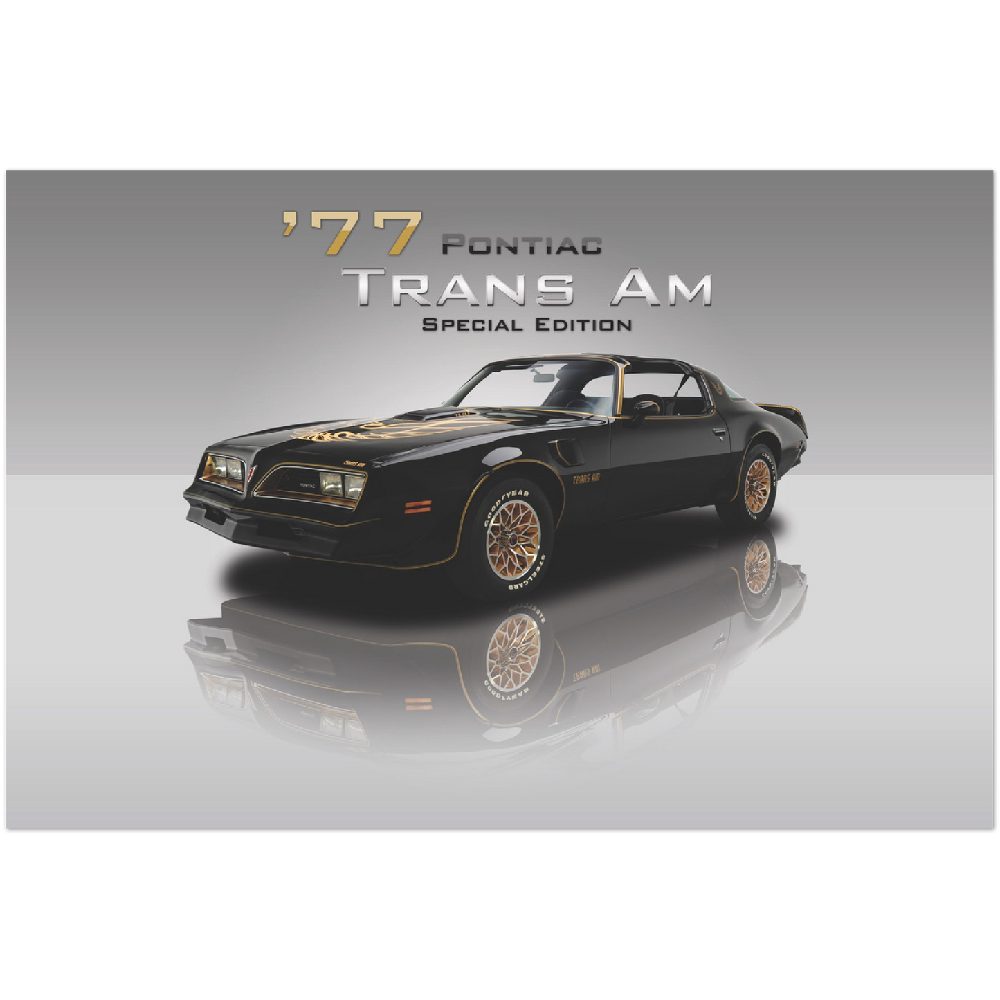 1977 Pontiac Trans Am SE
