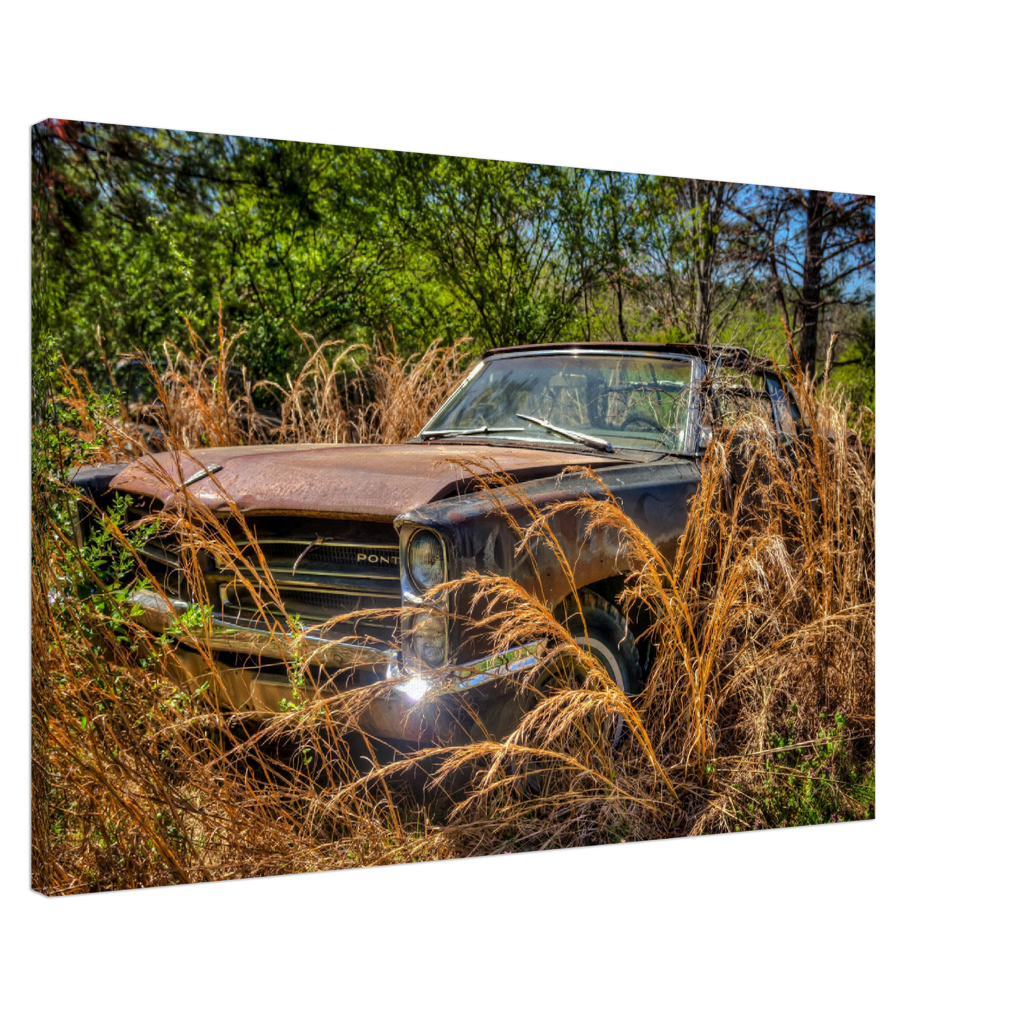 Wayne Stadler - Georgia Grass Fire
