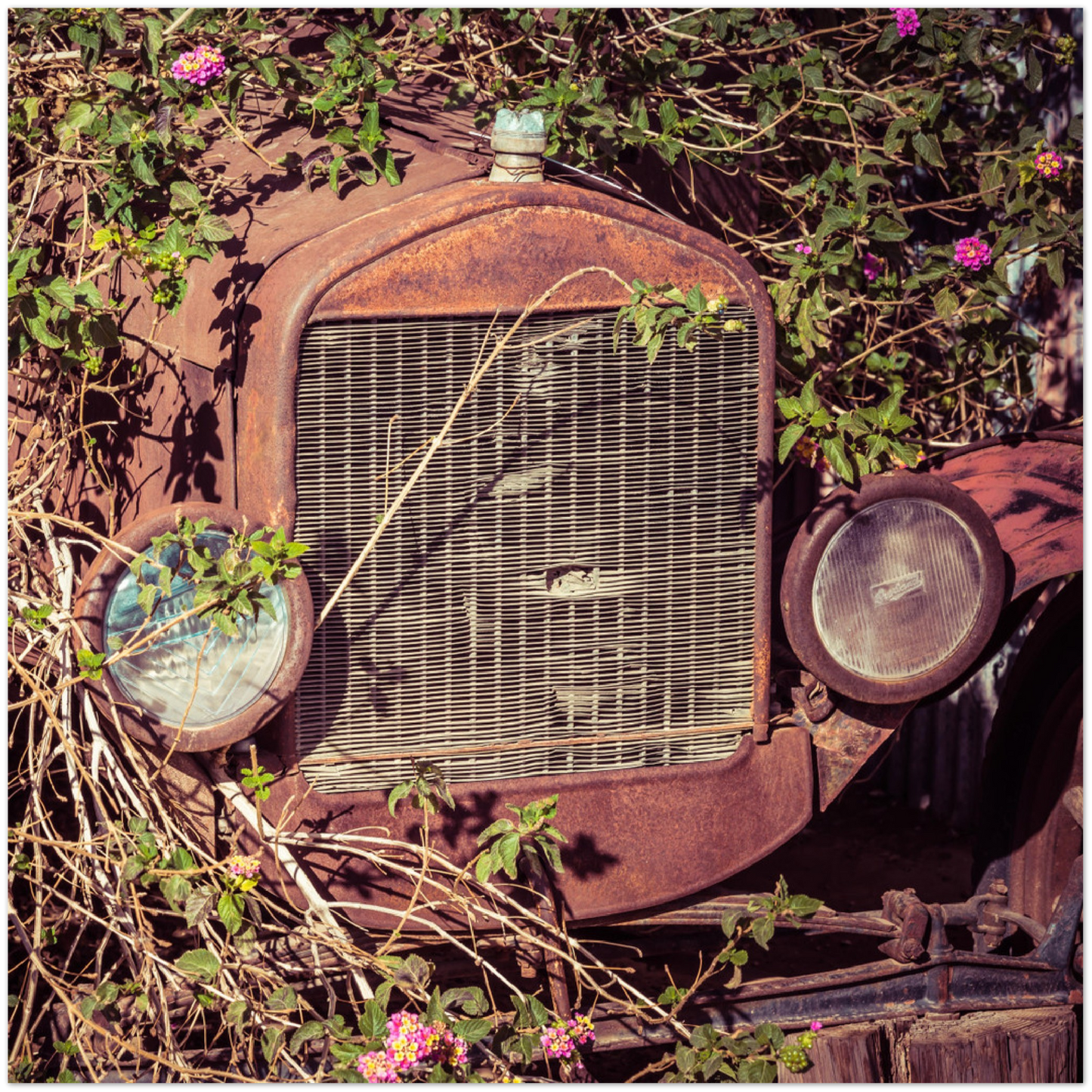 Wayne Stadler - Fatal Songs