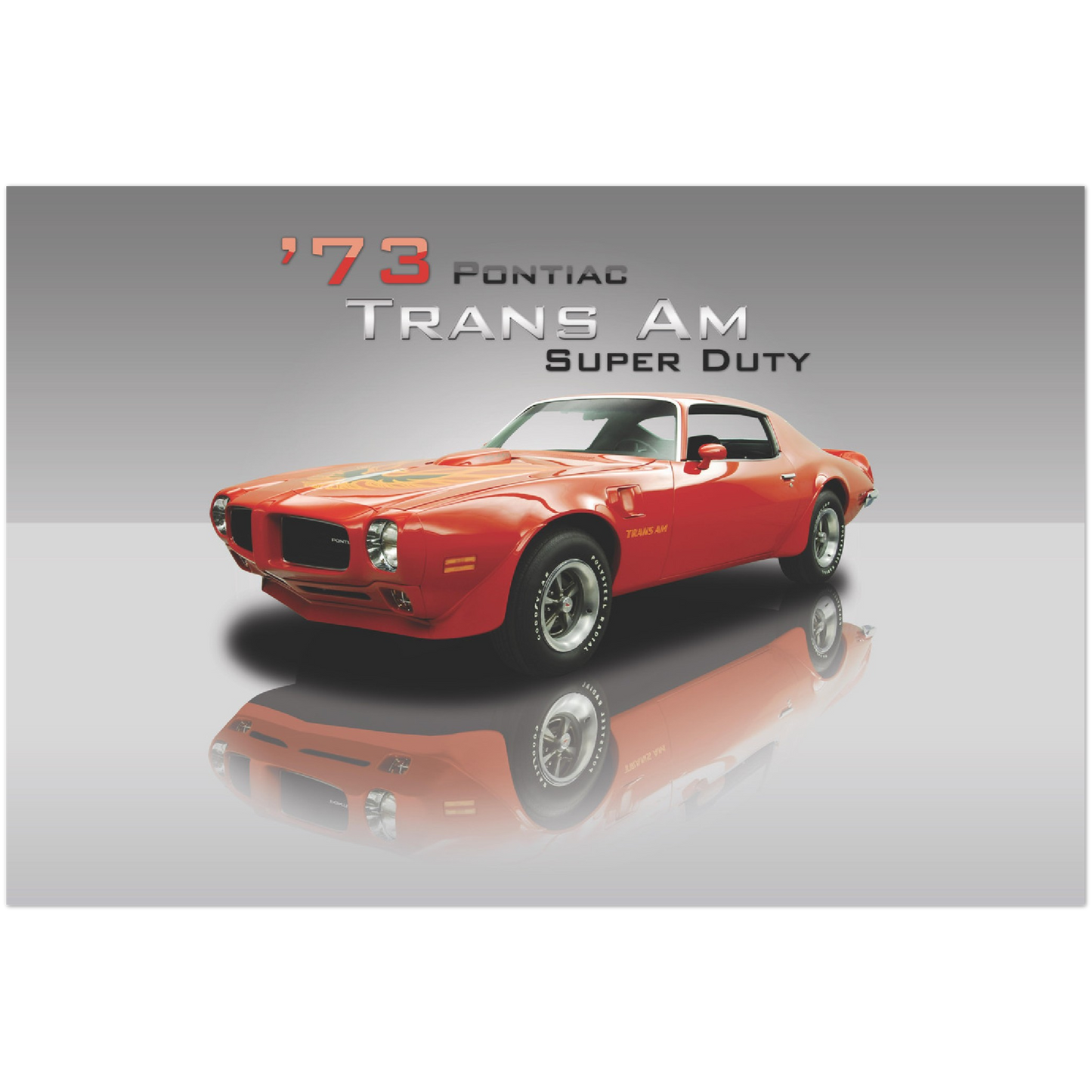 1973 Pontiac Trans Am SD