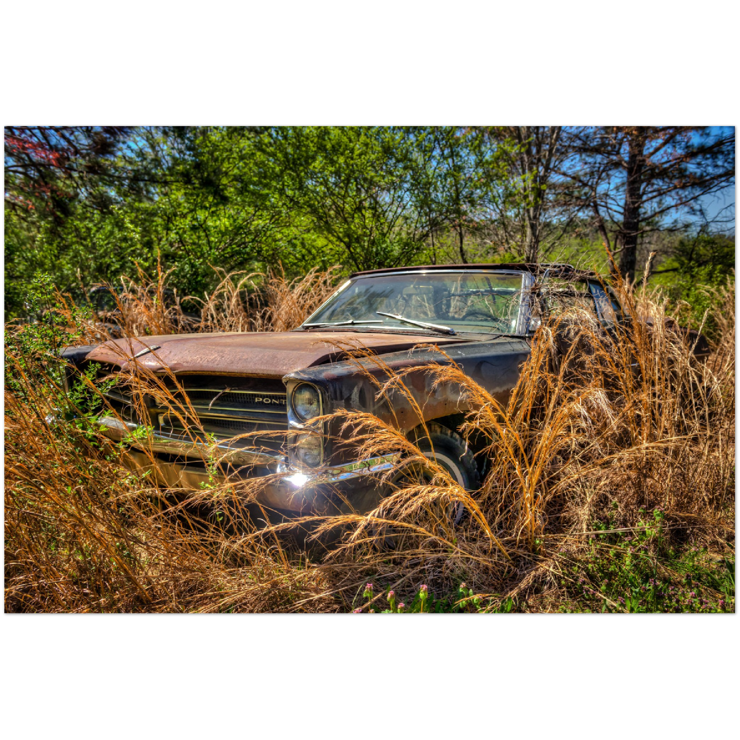 Wayne Stadler - Georgia Grass Fire