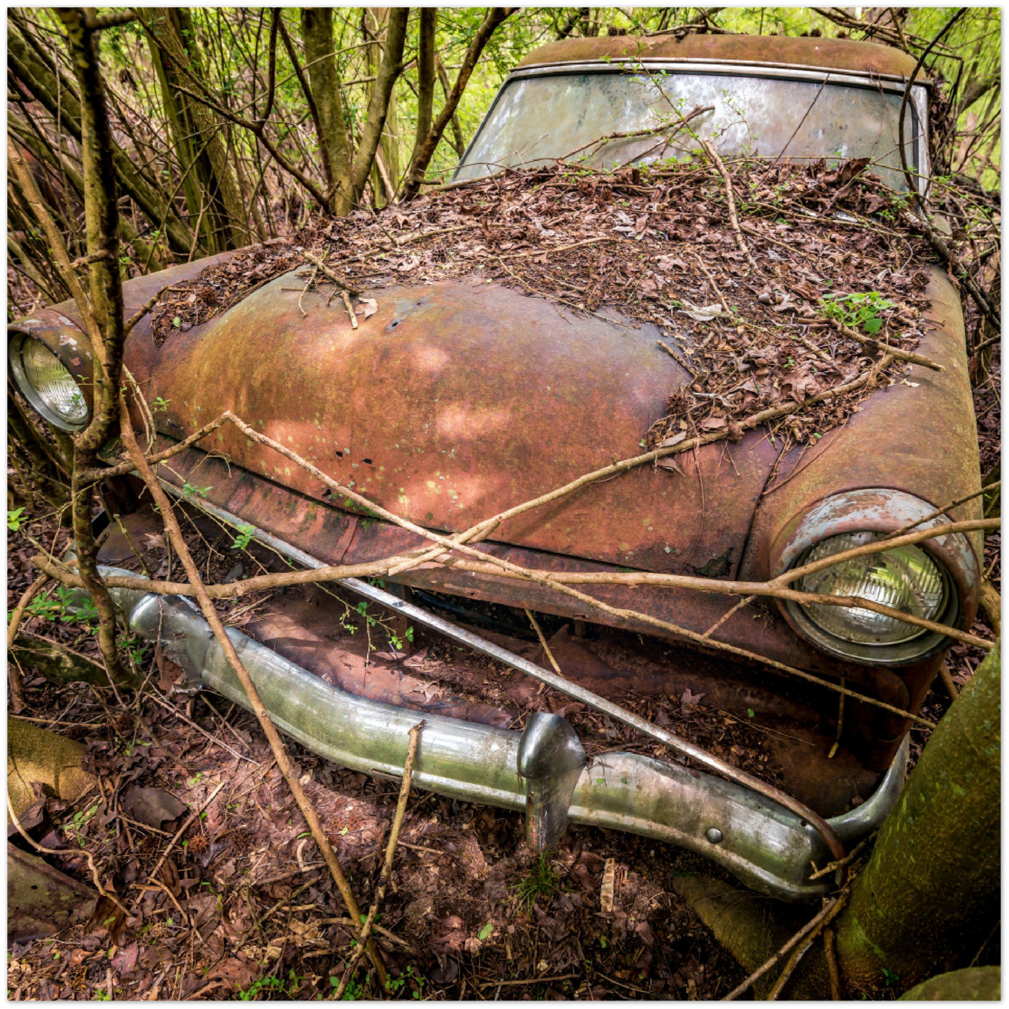 Wayne Stadler - Making Me Late