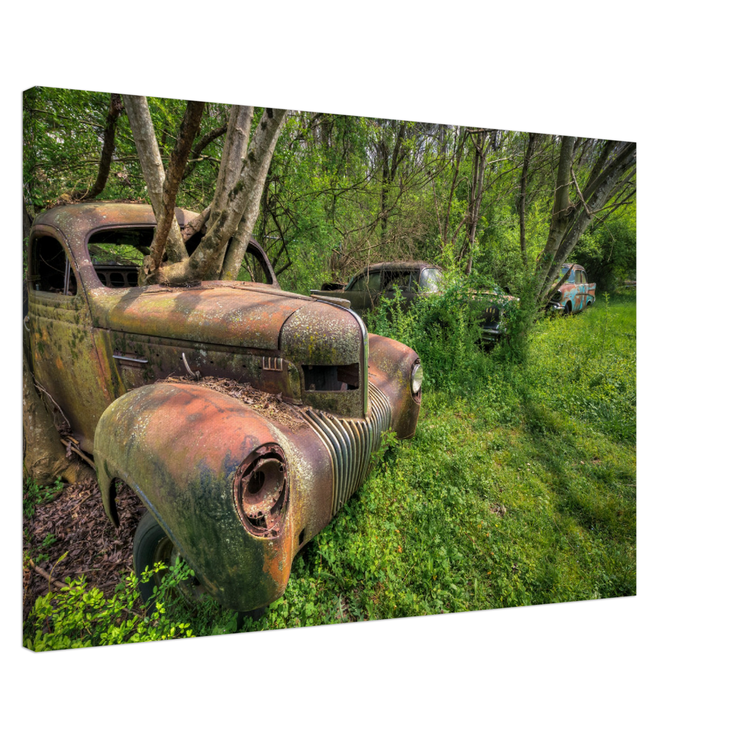 Wayne Stadler - Reachers