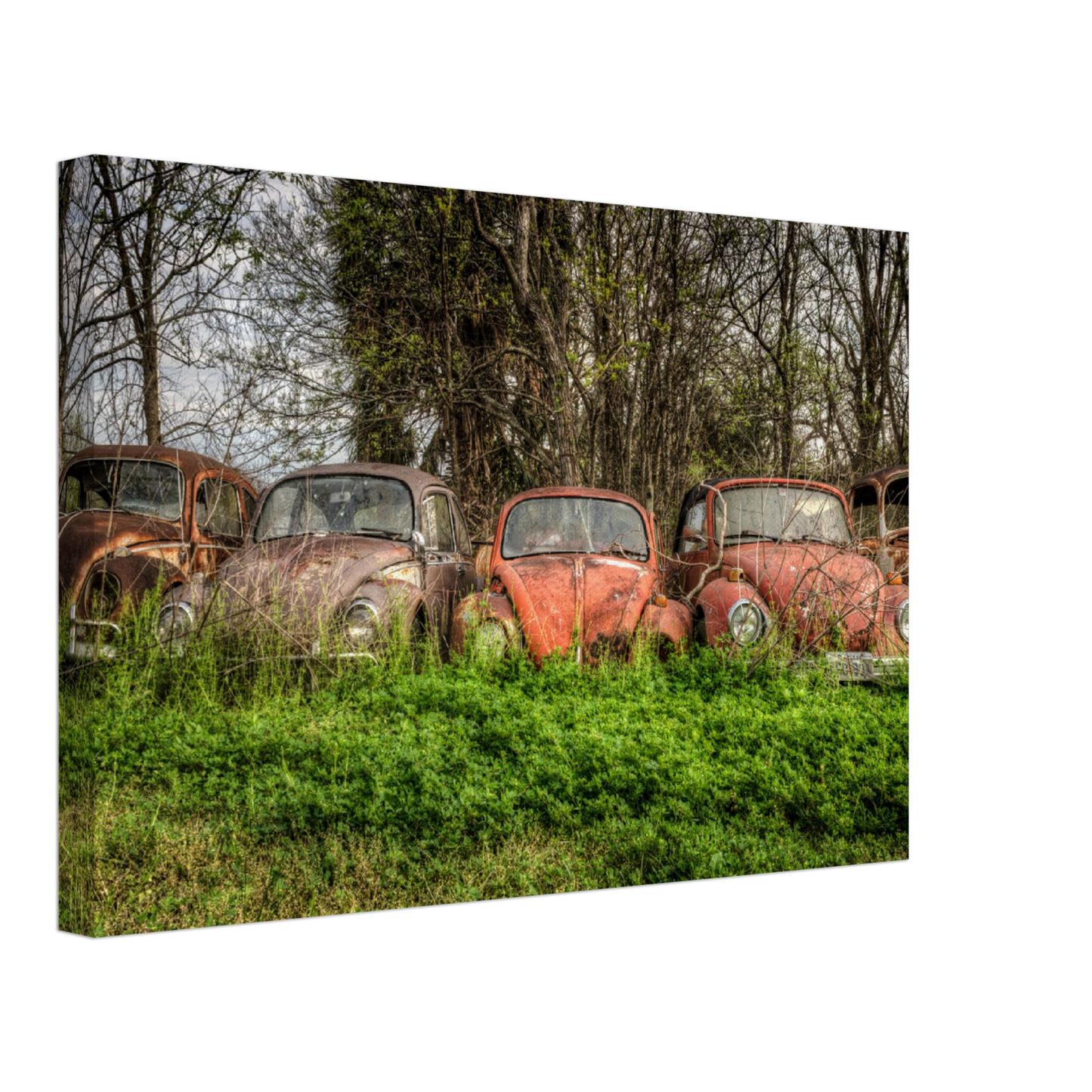 Wayne Stadler - Texas Bugs