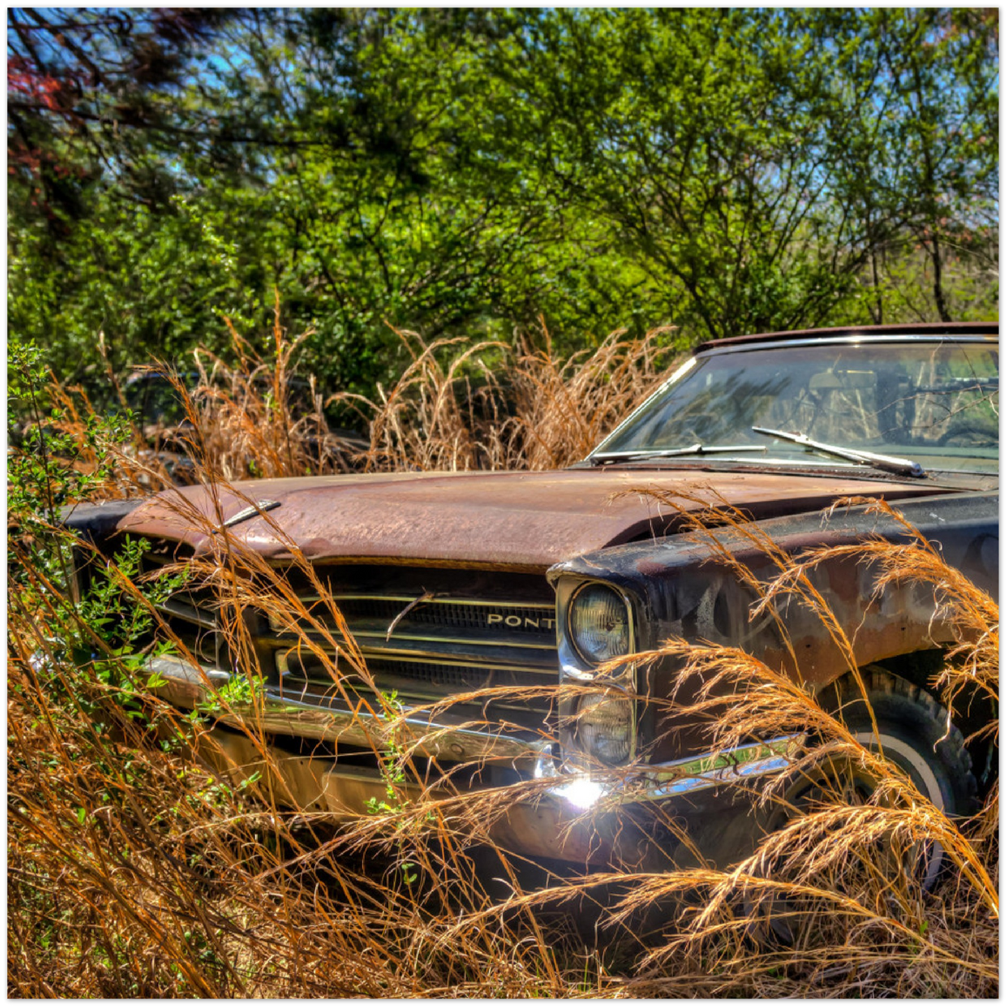 Wayne Stadler - Georgia Grass Fire