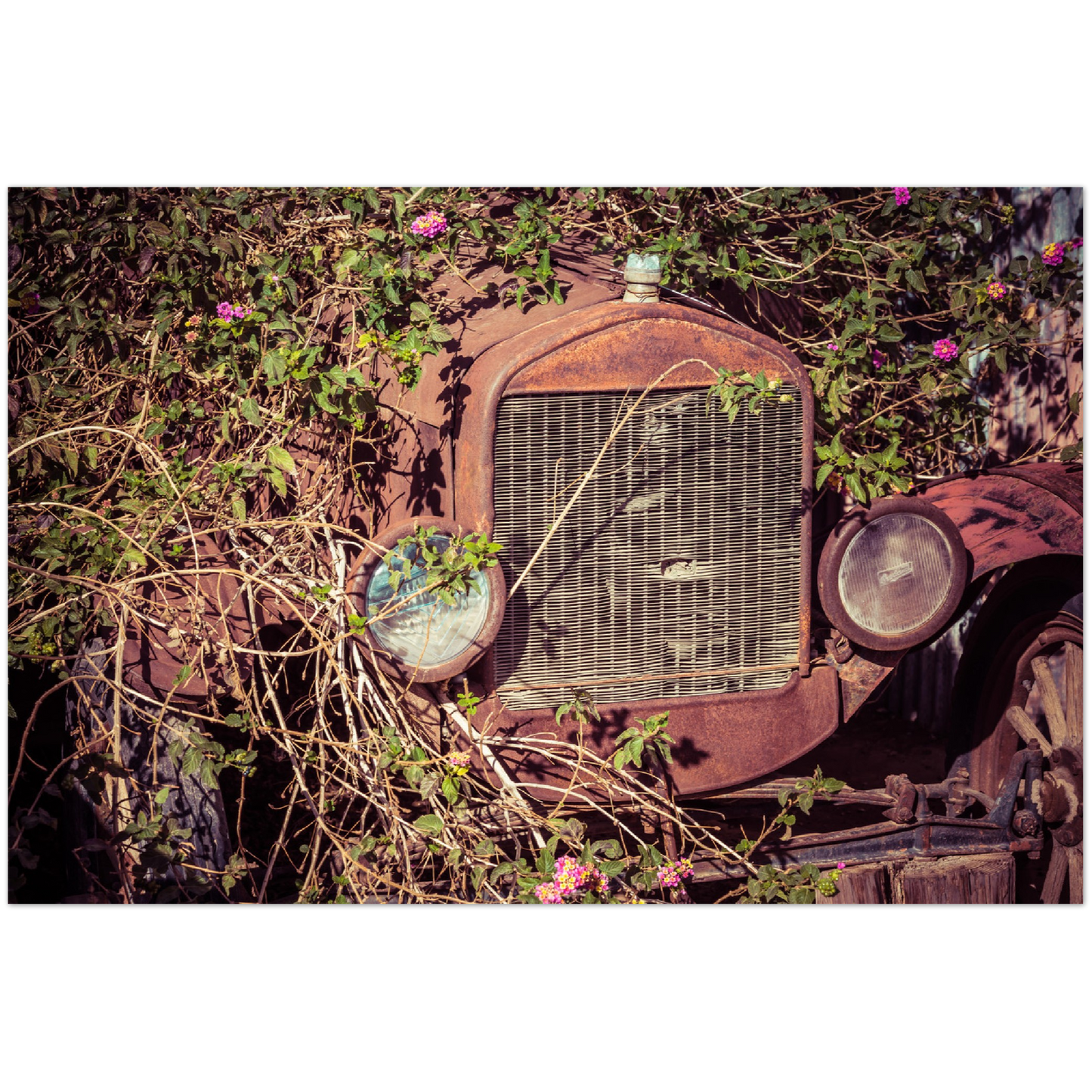 Wayne Stadler - Fatal Songs