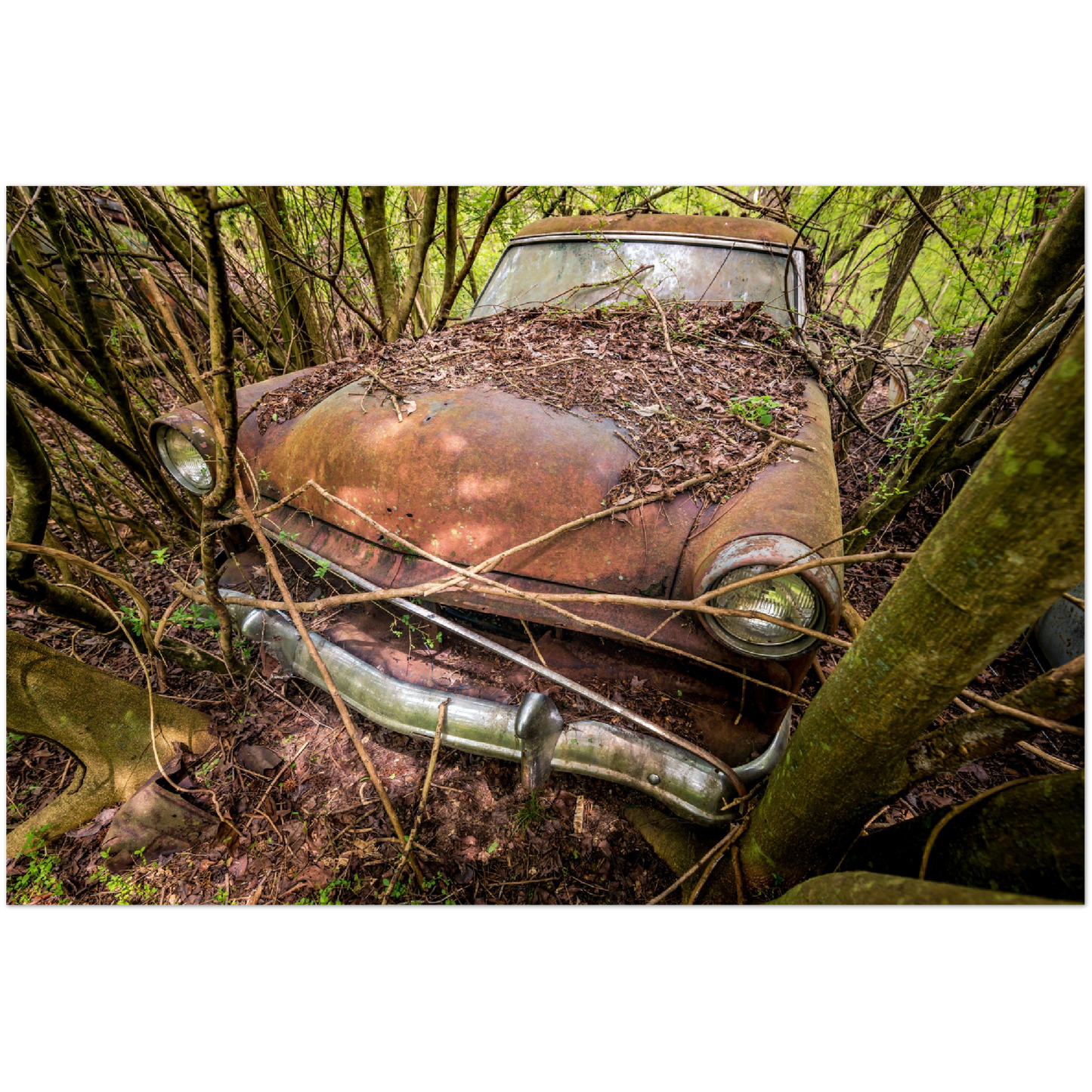 Wayne Stadler - Making Me Late